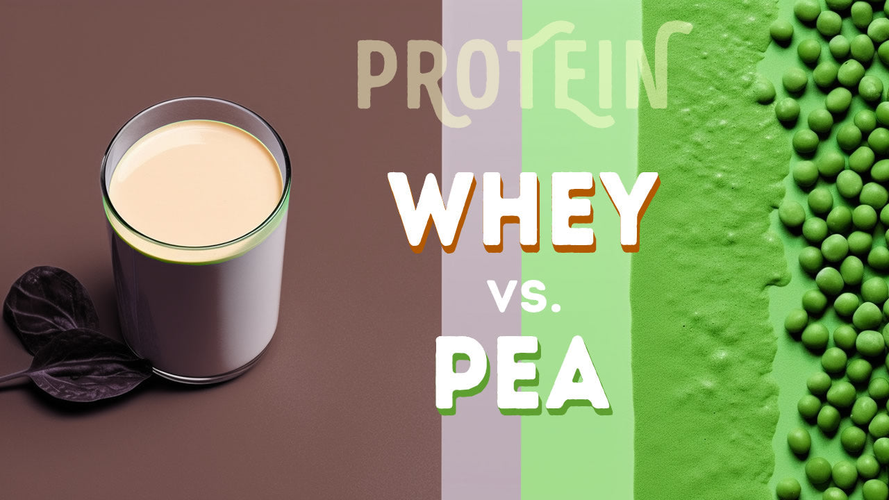 Compare pea protein vs. whey in 7 detailed categories