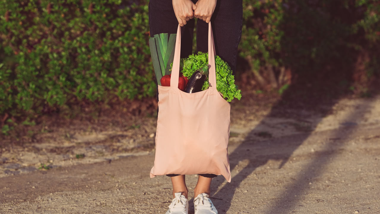 Best Ways to Make Everyday Activities Eco-Friendly
