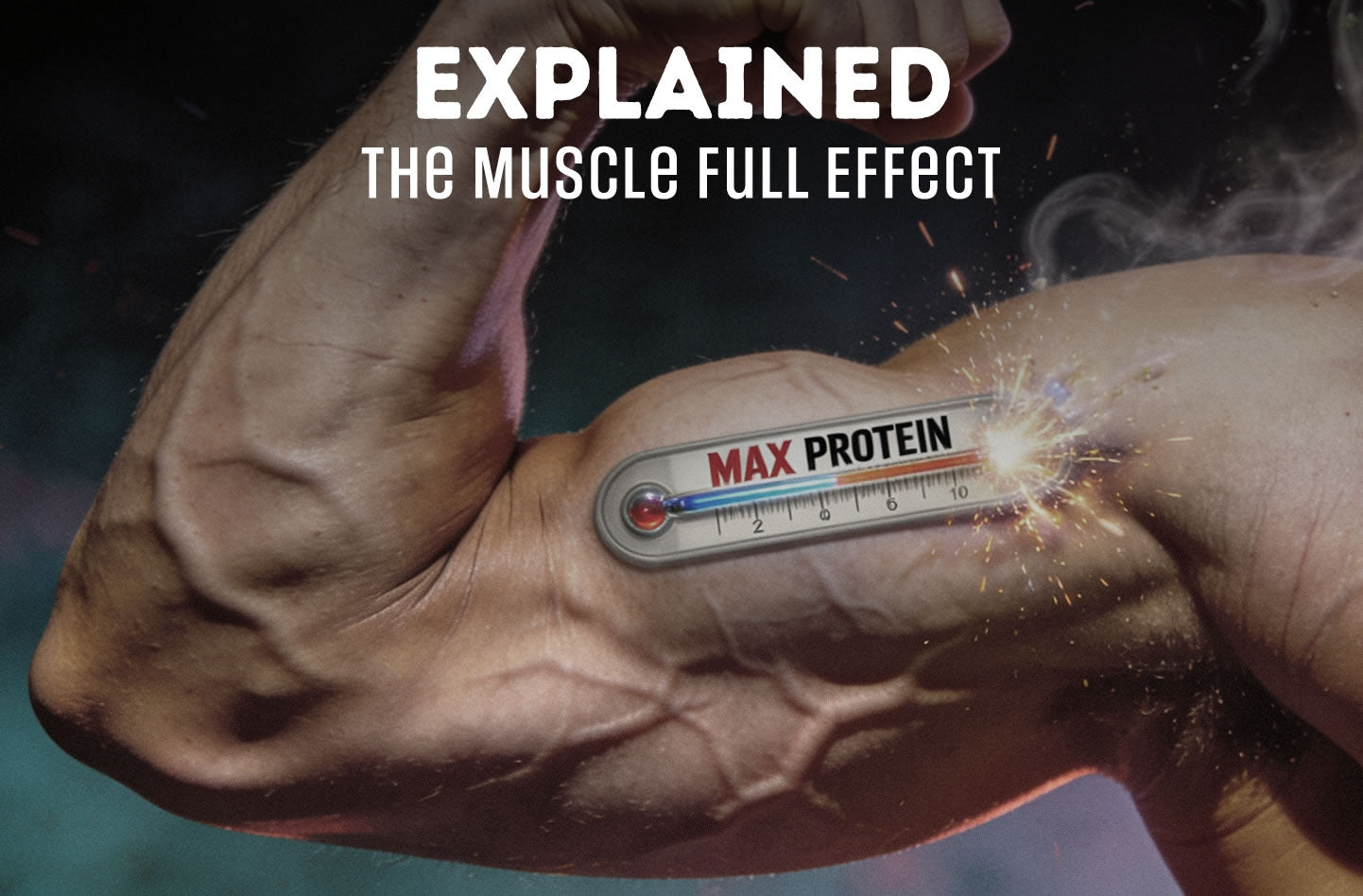 The Muscle Full Effect Explained