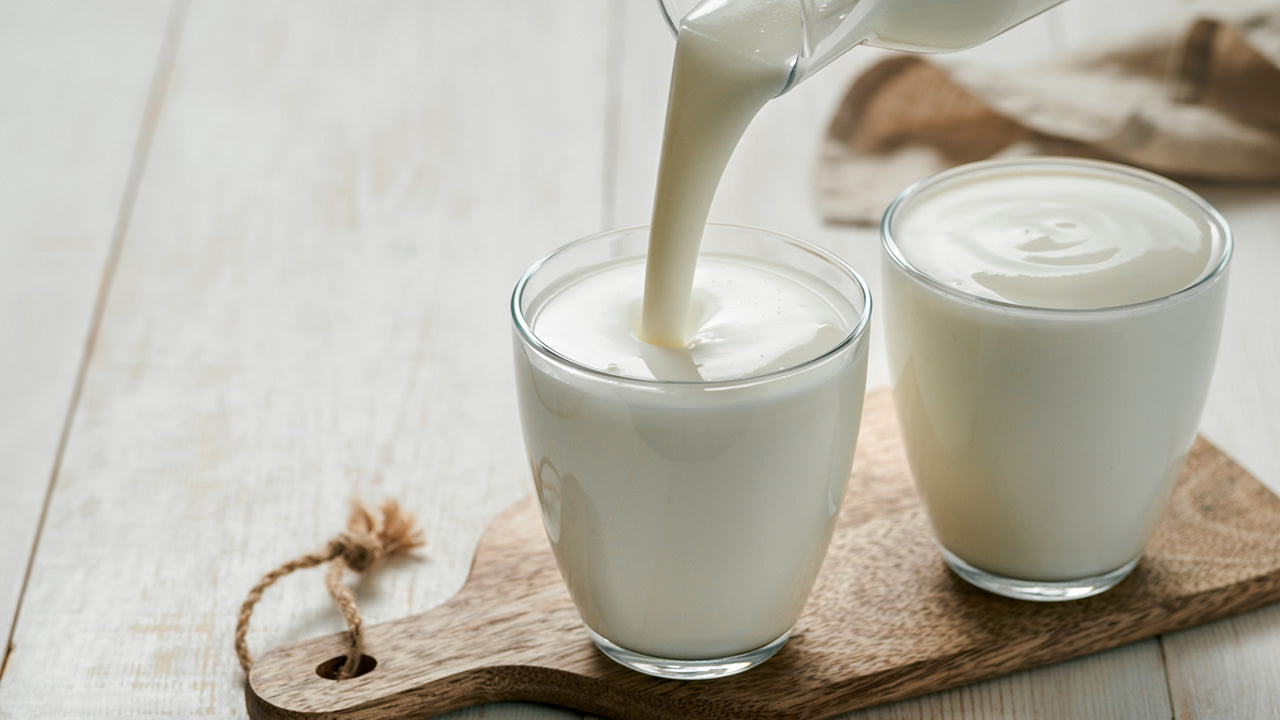 assorted probiotic foods including yogurt, sauerkraut, and kombucha on a kitchen table