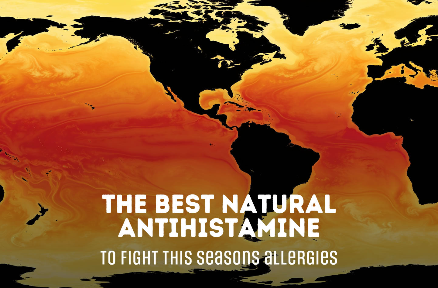 top Antihistamine to fight el nino 2026 allergies